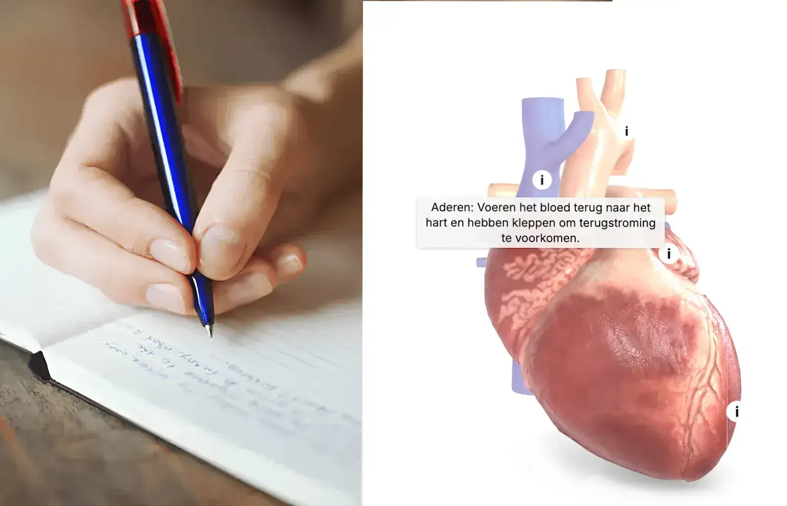 3D interactive assignments versus traditional learning methods