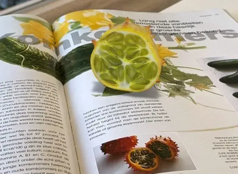 The benefits of 3D models in education