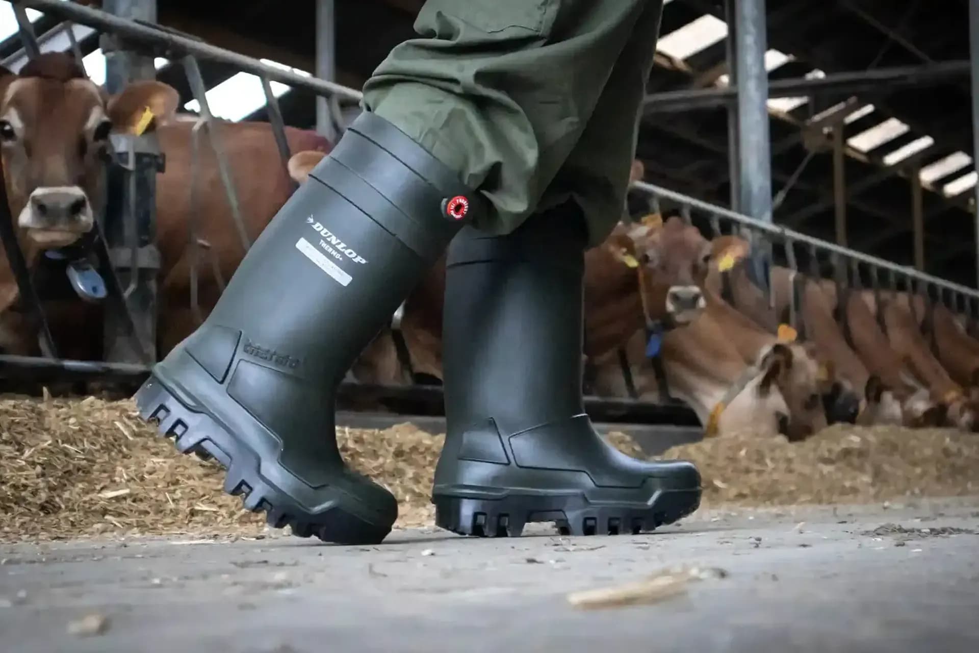Dunlop versterkt sales met de 3D Catalogus en 3D Content Creator